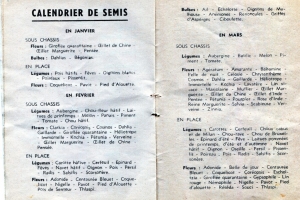 Les plantations du début d'année